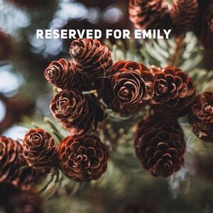 Reserved for Emily
